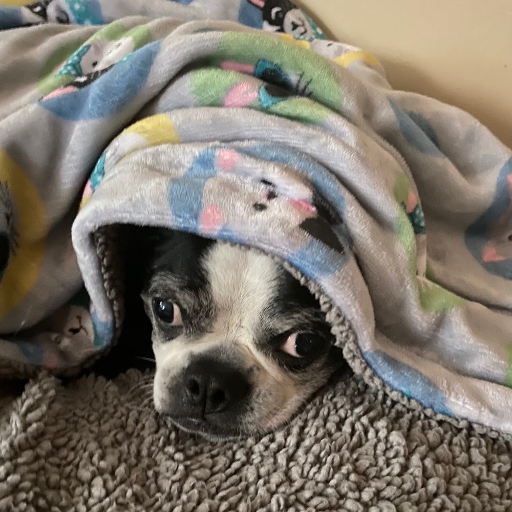 Meet your Posher, Luisa